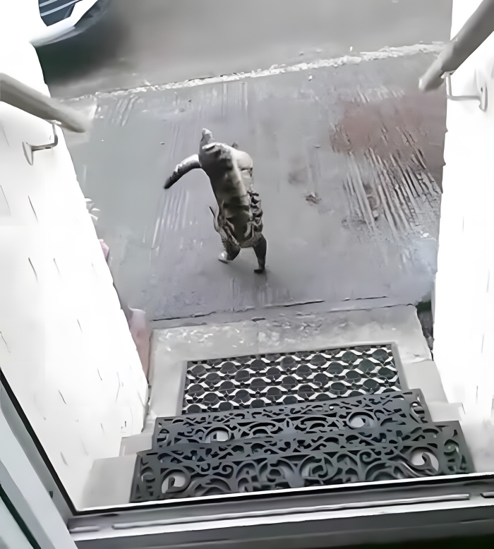 image-ytCqDwOmJtuU0ryR image-ytCqDwOmJtuU0ryR