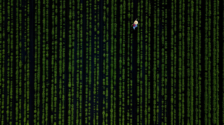 image-zZozKlVFCfTyLRbK