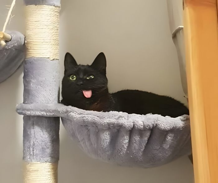 image-zj9CEAkdUuqhWn0l image-zj9CEAkdUuqhWn0l