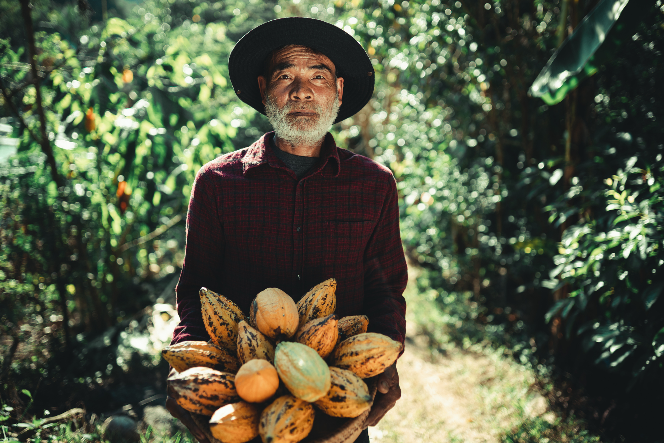 938dac53a6f74b0e1be3f42df383168d-6