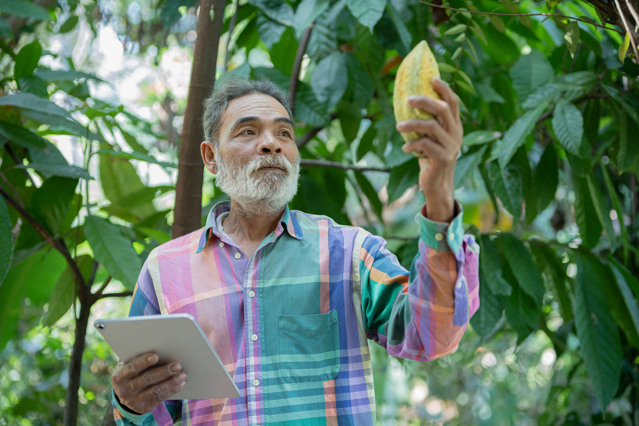 c6b5d0f3b3b8b81c9af850344433984c